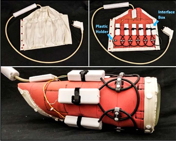 6 channel Flexible Knee Coil in MRI